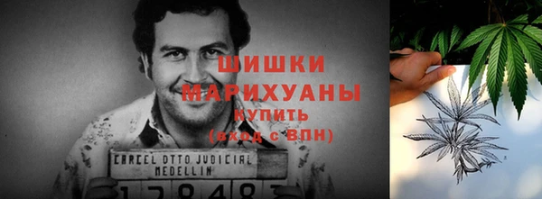 дживик Аркадак