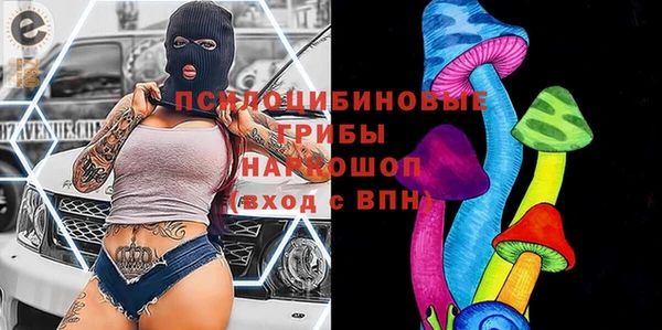 мет Арсеньев