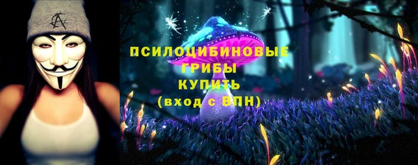 мет Арсеньев
