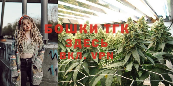 дживик Аркадак